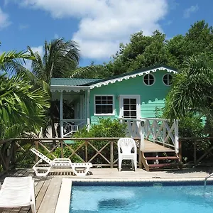 Lodge Palm 